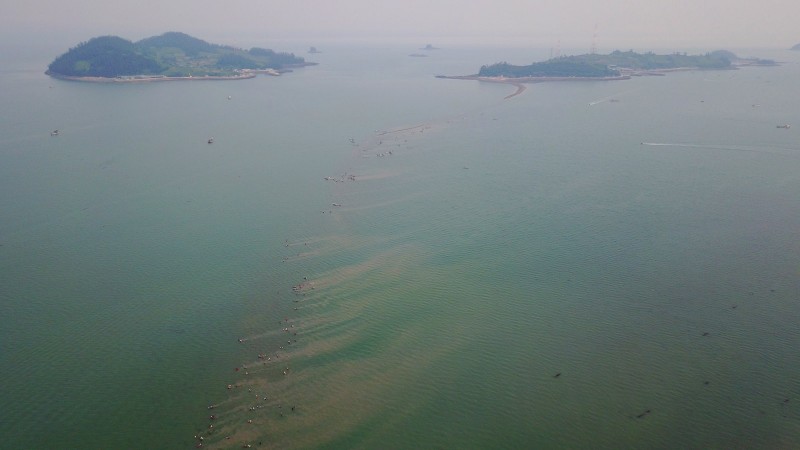 878da20b391849bf35df5d11dc1d8754_1501595