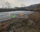[김천토지] ◈ 문당동 문당지구 자연녹지토지매매 ◈ 대지 469평 당60만 ◈