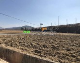 [김천토지] ◈ 농소면 월곡리 농림지역 투자용토지 ◈ 대지 328평 당 61만 ◈
