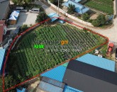 [구미토지] ◈ 고아읍 대망리인근 전원주택지 땅매매 ◈ 대지 178평 당100만 ◈