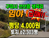 [구미토지] ◈ 선산읍 생곡리 낙동강뷰 당4천원 저렴한 임야매매 ◈ 토지 62,303평 당4천원 ◈