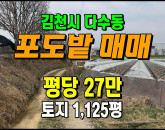 [김천토지] ◈ 다수동 포도밭 과수원 귀농귀촌 자연녹지땅매매 ◈ 토지 1,125평 당27만 ◈