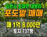 [김천토지] ◈ 조마면 대방리 2차선접 샤인머스캣 시설완벽 포도밭매매 ◈ 토지 737평 당24.4만 ◈