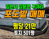 [김천토지] ◈ 구야리 농림지역 포도밭(반하우스)매매 ◈ 토지 501평 당21만 ◈