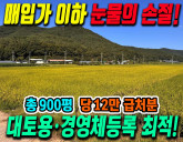 손해 보고 팝니다! 사두기만 해도 버는 구미 장천면 900평 반듯한 농지…