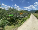 [김천토지] ◈ 남면 봉천리 사과나무 과수원매매 ◈ 토지 401평 당25만 ◈