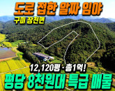 [구미장천토지] 평당 8천원대 파격가! 12,120평 총 1억, 도로 접하고 조망 확 트인 임야매매