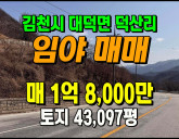 [김천토지] ◈ 대덕면 대단지 임야매매 2차선접 남향토지 ◈ 토지 43,…