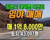 [김천토지] ◈ 대덕면 대단지 임야매매 2차선접 남향토지 ◈ 토지 43,097평 당4,180원 ◈