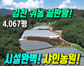 [김천 토지 매매] 김천시 삼락동 4,067평 대규모 샤인머스캣 포도 농원!