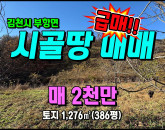 [김천토지] ◈ 파천리 과수원(호두나무) 주말농장 시골싼땅매매 ◈ 토지 386평 당5.2만 ◈