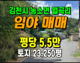 [김천토지] ◈ 농소면 월곡리 도로접 계획관리 투자용 임야매매 ◈ 토지 23,250평 당5.5만 ◈